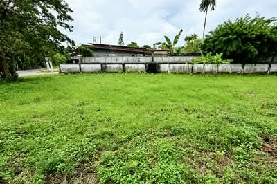 ขาย - ที่ดินท่าช้าง จันทบุรี, จันทบุรี