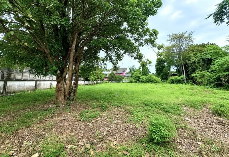 ที่ดินท่าช้าง จันทบุรี, Chanthaburi, Tha Chang, Muang Chanthaburi, Chanthaburi, , 876 sqm, Land For Sale, by The Best Property เมญ่า, 500487490 - DDproperty.com