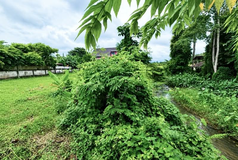 ที่ดินท่าช้าง จันทบุรี, Chanthaburi, Tha Chang, Muang Chanthaburi, Chanthaburi, , 876 sqm, Land For Sale, by The Best Property เมญ่า, 500487490 - DDproperty.com