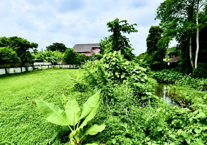 ที่ดินท่าช้าง จันทบุรี, Chanthaburi, Tha Chang, Muang Chanthaburi, Chanthaburi, , 876 sqm, Land For Sale, by The Best Property เมญ่า, 500487490 - DDproperty.com