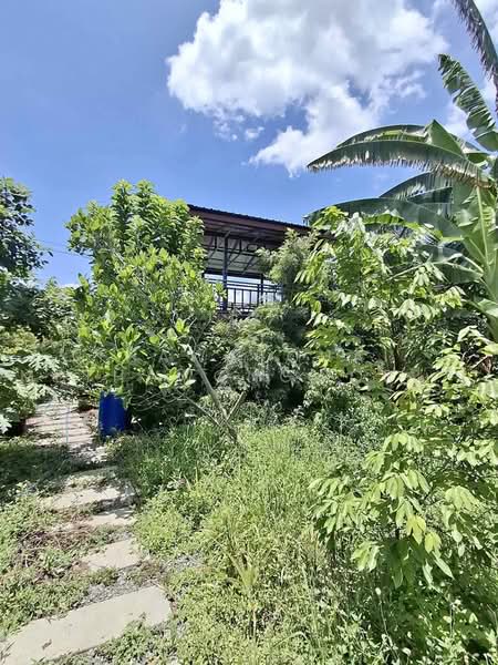 บ้าน 1-ห้องนอน, กรุงเทพ, คลองสิบสอง, หนองจอก, กรุงเทพ, 47 ตร.ม., บ้านเดี่ยว ขาย, โดย Thawatchai Methawongworakul, 500487522 - DDproperty.com