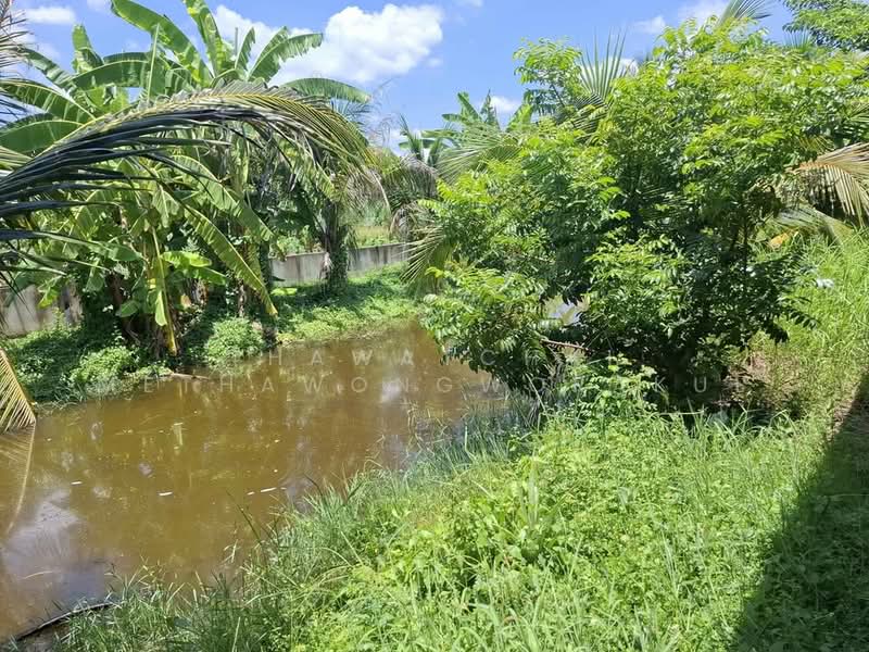 1-BR House, Bangkok, Khlong Sibsong, Nong Chok, Bangkok, 1 Bedroom, 47 sqm, Single Detached House For Sale, by Thawatchai Methawongworakul, 500487522 - DDproperty.com