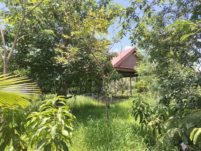 1-BR House, Bangkok, Khlong Sibsong, Nong Chok, Bangkok, 1 Bedroom, 47 sqm, Single Detached House For Sale, by Thawatchai Methawongworakul, 500487522 - DDproperty.com