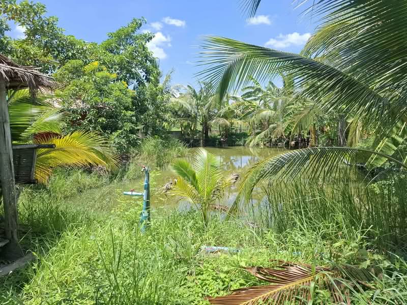 1-BR House, Bangkok, Khlong Sibsong, Nong Chok, Bangkok, 1 Bedroom, 47 sqm, Single Detached House For Sale, by Thawatchai Methawongworakul, 500487522 - DDproperty.com