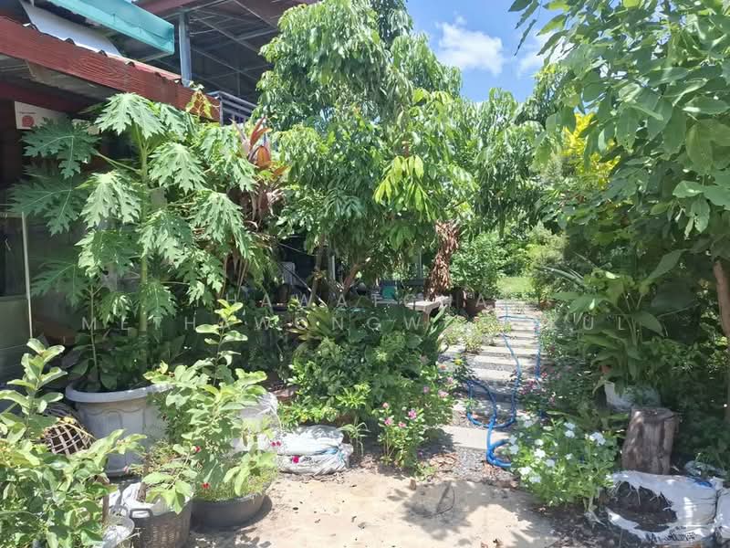 1-BR House, Bangkok, Khlong Sibsong, Nong Chok, Bangkok, 1 Bedroom, 47 sqm, Single Detached House For Sale, by Thawatchai Methawongworakul, 500487522 - DDproperty.com