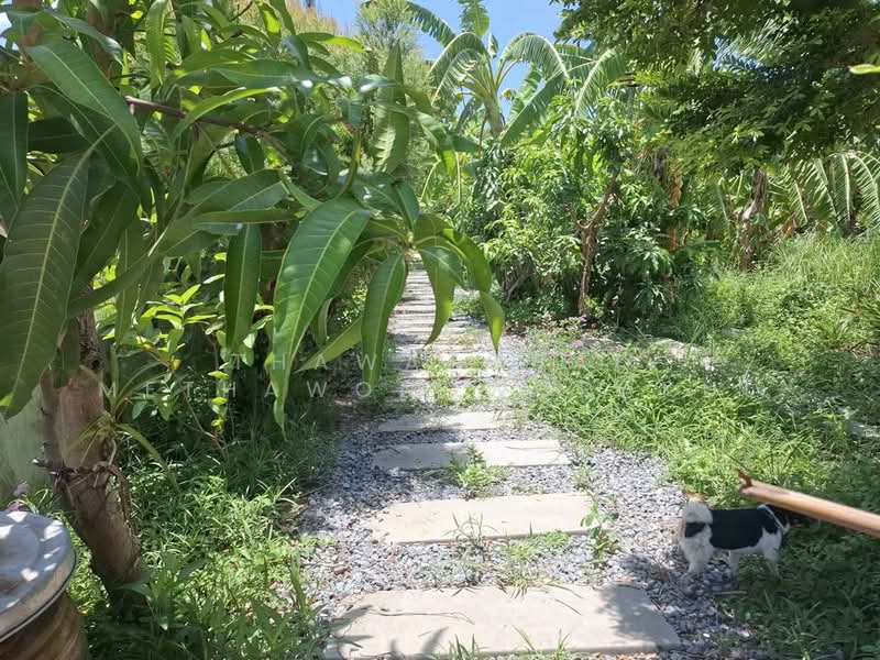 บ้าน 1-ห้องนอน, กรุงเทพ, คลองสิบสอง, หนองจอก, กรุงเทพ, 47 ตร.ม., บ้านเดี่ยว ขาย, โดย Thawatchai Methawongworakul, 500487522 - DDproperty.com
