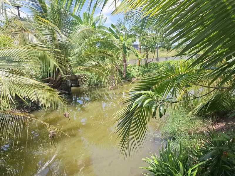 1-BR House, Bangkok, Khlong Sibsong, Nong Chok, Bangkok, 1 Bedroom, 47 sqm, Single Detached House For Sale, by Thawatchai Methawongworakul, 500487522 - DDproperty.com