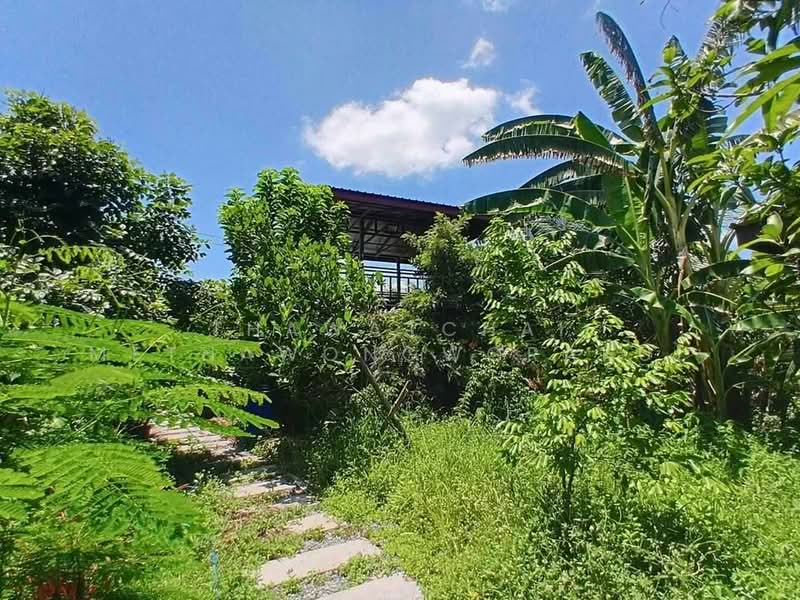 1-BR House, Bangkok, Khlong Sibsong, Nong Chok, Bangkok, 1 Bedroom, 47 sqm, Single Detached House For Sale, by Thawatchai Methawongworakul, 500487522 - DDproperty.com