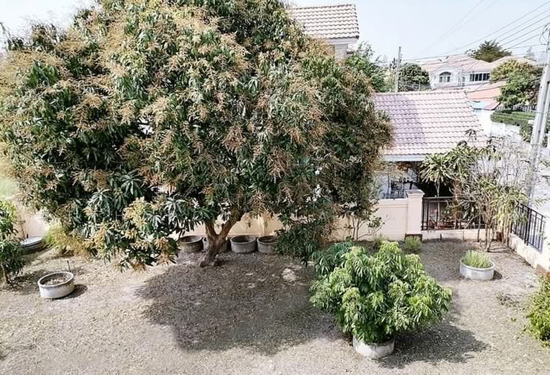 undefined, Bangkok, Lam Phak Chi, Nong Chok, Bangkok, 3 Bedrooms, 400 sqm, Single Detached House For Sale, by Natthapong Laomahong, 500487545 - DDproperty.com