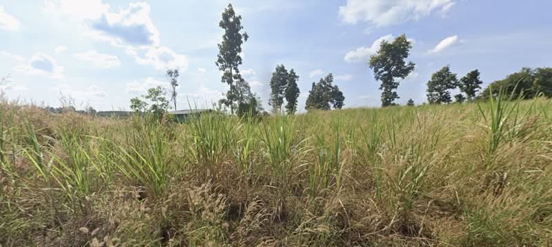 Land for sale: 20 Rai, 82 Sq. Wah, located on Rural Road 3011, Chom Si Subdistrict, Chiang Khan Dist, Loei, หลวงชนบท 3011, Chomsri, Chiang Khan, Loei, , 32,328 sqm, Land For Sale, by สุรีย์ ชุนรัตนชัย, 500487556 - DDproperty.com