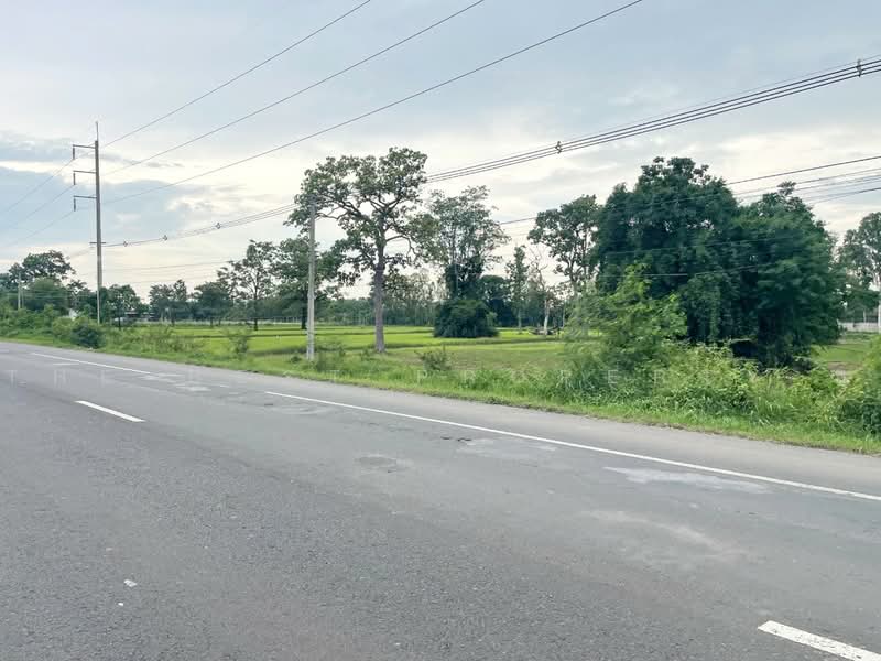 ที่ดินประโคนชัย บุรีรัมย์, Buri Ram, Khok Ma, Prakhon Chai, Buri Ram, , 8,144 sqm, Land For Sale, by The Best Property ยุ, 500487571 - DDproperty.com