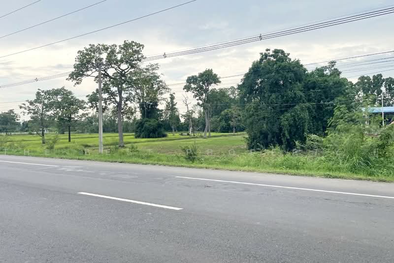 ที่ดินประโคนชัย บุรีรัมย์, Buri Ram, Khok Ma, Prakhon Chai, Buri Ram, , 8,144 sqm, Land For Sale, by The Best Property ยุ, 500487571 - DDproperty.com