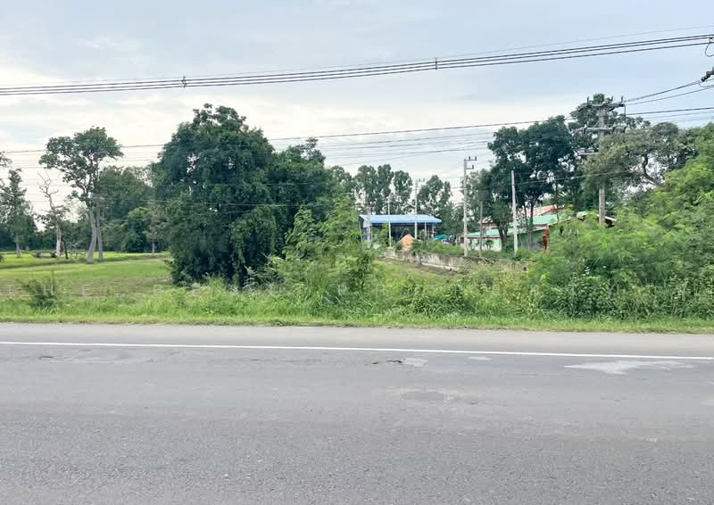 ที่ดินประโคนชัย บุรีรัมย์, Buri Ram, Khok Ma, Prakhon Chai, Buri Ram, , 8,144 sqm, Land For Sale, by The Best Property ยุ, 500487571 - DDproperty.com