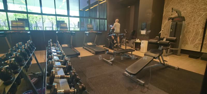 Noble Reveal, Bangkok, 36 Soi Sukhumvit 63, Ekamai Road, Phra Kanong Nua, Watthana, Bangkok, 1 Bedroom, 51 sqm, Condo For Sale, by ปริญญา ปิยะพัฒนา, 500487833 - DDproperty.com