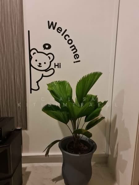 วิลล่า 3-ห้องนอน, ประจวบคีรีขันธ์, หินเหล็กไฟ, หัวหิน, ประจวบคีรีขันธ์, 204 ตร.ม., วิลล่า ให้เช่า, โดย Chalisa Kitilimtrakul, 500487921 - DDproperty.com