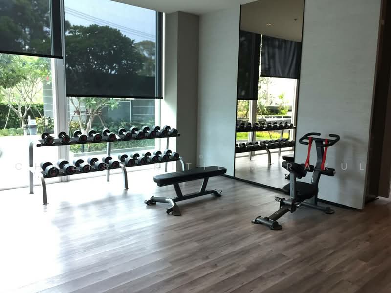 Del Mare Bangsaray Beachfront : เดลมาเล่ย์ บางเสร่ บีชฟรอนท์, ชลบุรี, นาจอมเทียน 56, บางเสร่, สัตหีบ, ชลบุรี, 50 ตร.ม., คอนโด ขาย, โดย Chalisa Kitilimtrakul, 500488171 - DDproperty.com