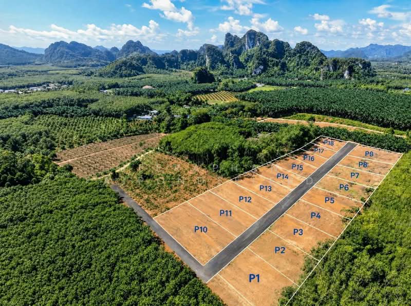 ขายที่ดินวิวภูเขา โซนหนองทะเล จังหวัดกระบี่, Krabi, Nong Tale, Muang Krabi, Krabi, , 1,600 sqm, Land For Sale, by JEERAPHAN FAIPONDEELERD, 500488225 - DDproperty.com