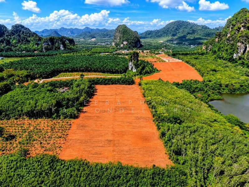 ขายที่ดินวิวภูเขา โซนหนองทะเล จังหวัดกระบี่, Krabi, Nong Tale, Muang Krabi, Krabi, , 1,600 sqm, Land For Sale, by JEERAPHAN FAIPONDEELERD, 500488225 - DDproperty.com