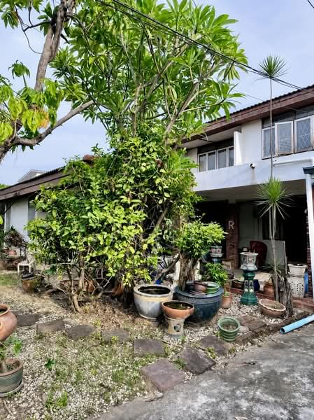 House and Land Phatana Wet 10, Bangkok, Phra Kanong Nua, Watthana, Bangkok, 3 Bedrooms, 250 sqm, Single Detached House For Sale, by Chidaphar Beawlek, 500488267 - DDproperty.com