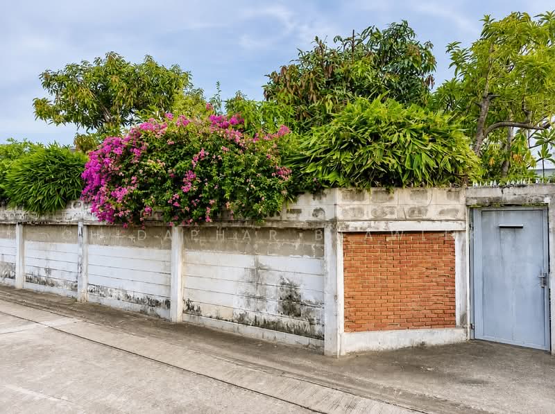 House and Land Phatana Wet 10, Bangkok, Phra Kanong Nua, Watthana, Bangkok, 3 Bedrooms, 250 sqm, Single Detached House For Sale, by Chidaphar Beawlek, 500488267 - DDproperty.com