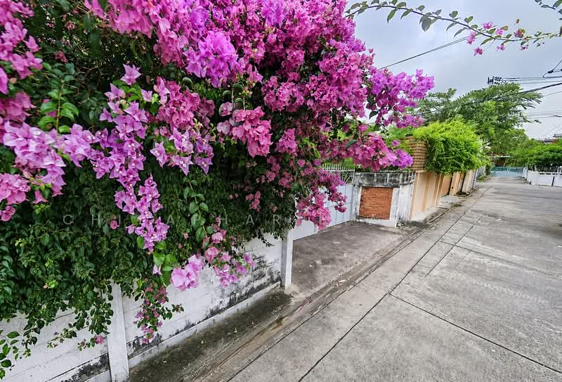 บ้านเดี่ยวพร้อมที่ดิน พัฒนเวศน์ 10 สุขุมวิท 71 ปรีดี 14-16, กรุงเทพ, พระโขนงเหนือ, วัฒนา, กรุงเทพ, 250 ตร.ม., บ้านเดี่ยว ขาย, โดย Chidaphar Beawlek, 500488267 - DDproperty.com