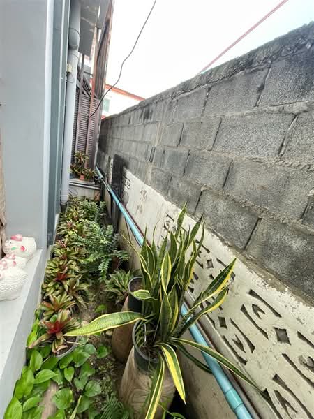 ชุมชน กม.24 ซอยพหลโยธิน54/1 แยก7, Bangkok, ถนนพหลโยธิน, Sai Mai, Bangkok, 4 Bedrooms, 220 sqm, Single Detached House For Sale, by คุณ ศรินรัตน์ ศิรเกียรติสกุล (เป้ย), 500488310 - DDproperty.com