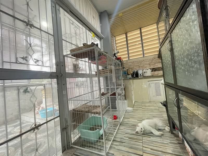 ชุมชน กม.24 ซอยพหลโยธิน54/1 แยก7, Bangkok, ถนนพหลโยธิน, Sai Mai, Bangkok, 4 Bedrooms, 220 sqm, Single Detached House For Sale, by คุณ ศรินรัตน์ ศิรเกียรติสกุล (เป้ย), 500488310 - DDproperty.com