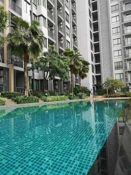Q House Sukhumvit 79 : คิวเฮาส์ สุขุมวิท 79, กรุงเทพ, 2059 ถนนสุขุมวิท, พระโขนงเหนือ, วัฒนา, กรุงเทพ, 30 ตร.ม., คอนโด ให้เช่า, โดย Chanikarn Lumphrom, 500488339 - DDproperty.com