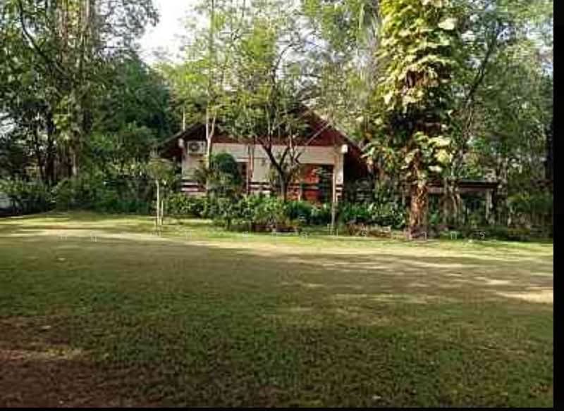 For Sale: 2-Rai Vacation Home with Unique Treehouse in Khanong Phra, Pak Chong, Nakhon Ratchasima, Khanong Phra, Pak Chong, Nakhon Ratchasima, 3 Bedrooms, 340 sqm, Single Detached House For Sale, by กฤตณัท สุกุลปรีดากร, 500488411 - DDproperty.com
