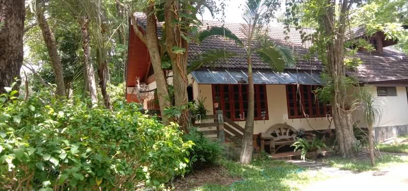 For Sale: 2-Rai Vacation Home with Unique Treehouse in Khanong Phra, Pak Chong, Nakhon Ratchasima, Khanong Phra, Pak Chong, Nakhon Ratchasima, 3 Bedrooms, 340 sqm, Single Detached House For Sale, by กฤตณัท สุกุลปรีดากร, 500488411 - DDproperty.com