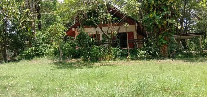 ขายบ้านตากอากาศพร้อมบ้านต้นไม้ บนที่ดิน 2 ไร่ ., นครราชสีมา, ขนงพระ, ปากช่อง, นครราชสีมา, 340 ตร.ม., บ้านเดี่ยว ขาย, โดย กฤตณัท สุกุลปรีดากร, 500488411 - DDproperty.com
