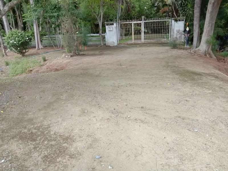 ขายบ้านตากอากาศพร้อมบ้านต้นไม้ บนที่ดิน 2 ไร่ ., นครราชสีมา, ขนงพระ, ปากช่อง, นครราชสีมา, 340 ตร.ม., บ้านเดี่ยว ขาย, โดย กฤตณัท สุกุลปรีดากร, 500488411 - DDproperty.com