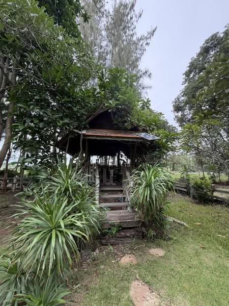 For Sale: 2-Rai Vacation Home with Unique Treehouse in Khanong Phra, Pak Chong, Nakhon Ratchasima, Khanong Phra, Pak Chong, Nakhon Ratchasima, 4 Bedrooms, 340 sqm, Single Detached House For Sale, by กฤตณัท สุกุลปรีดากร, 500488411 - DDproperty.com