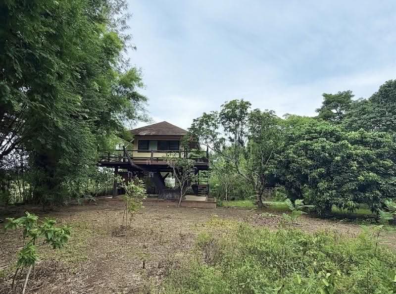 For Sale: 2-Rai Vacation Home with Unique Treehouse in Khanong Phra, Pak Chong, Nakhon Ratchasima, Khanong Phra, Pak Chong, Nakhon Ratchasima, 4 Bedrooms, 340 sqm, Single Detached House For Sale, by กฤตณัท สุกุลปรีดากร, 500488411 - DDproperty.com