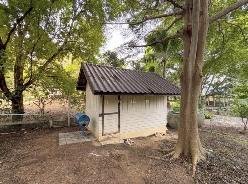 For Sale: 2-Rai Vacation Home with Unique Treehouse in Khanong Phra, Pak Chong, Nakhon Ratchasima, Khanong Phra, Pak Chong, Nakhon Ratchasima, 4 Bedrooms, 340 sqm, Single Detached House For Sale, by กฤตณัท สุกุลปรีดากร, 500488411 - DDproperty.com