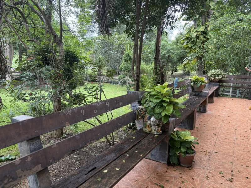 For Sale: 2-Rai Vacation Home with Unique Treehouse in Khanong Phra, Pak Chong, Nakhon Ratchasima, Khanong Phra, Pak Chong, Nakhon Ratchasima, 4 Bedrooms, 340 sqm, Single Detached House For Sale, by กฤตณัท สุกุลปรีดากร, 500488411 - DDproperty.com