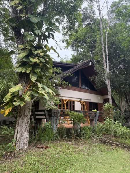 For Sale: 2-Rai Vacation Home with Unique Treehouse in Khanong Phra, Pak Chong, Nakhon Ratchasima, Khanong Phra, Pak Chong, Nakhon Ratchasima, 4 Bedrooms, 340 sqm, Single Detached House For Sale, by กฤตณัท สุกุลปรีดากร, 500488411 - DDproperty.com