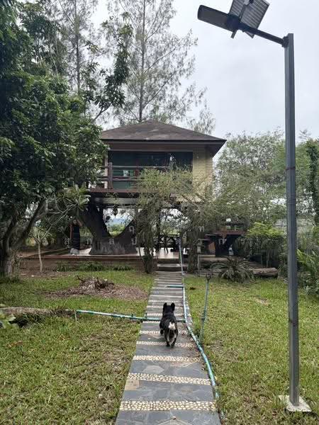 ขายบ้านตากอากาศพร้อมบ้านต้นไม้ บนที่ดิน 2 ไร่, นครราชสีมา, ขนงพระ, ปากช่อง, นครราชสีมา, 340 ตร.ม., บ้านเดี่ยว ขาย, โดย กฤตณัท สุกุลปรีดากร, 500488411 - DDproperty.com