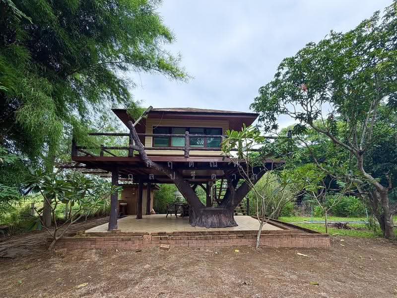 For Sale: 2-Rai Vacation Home with Unique Treehouse in Khanong Phra, Pak Chong, Nakhon Ratchasima, Khanong Phra, Pak Chong, Nakhon Ratchasima, 4 Bedrooms, 340 sqm, Single Detached House For Sale, by กฤตณัท สุกุลปรีดากร, 500488411 - DDproperty.com
