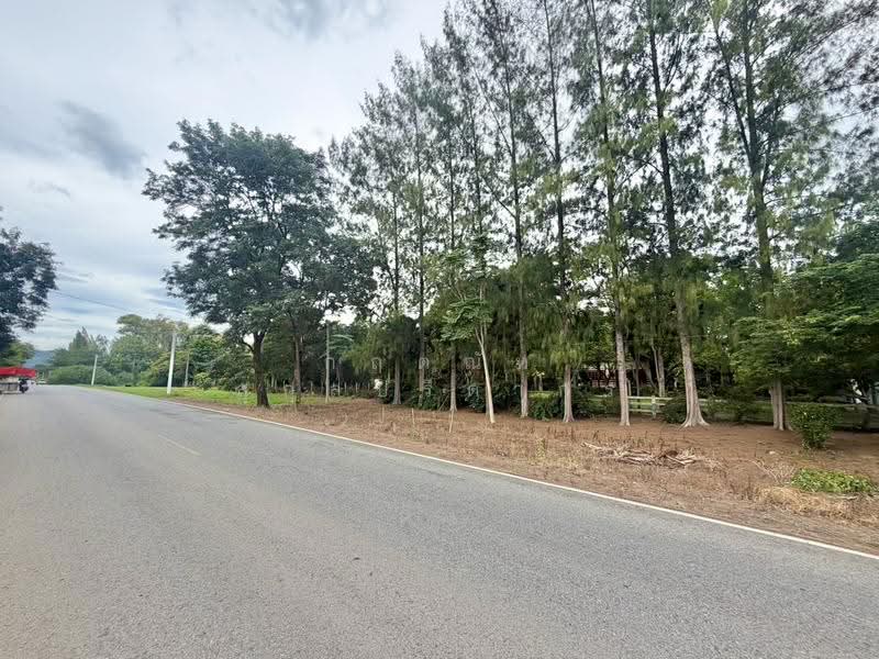 For Sale: 2-Rai Vacation Home with Unique Treehouse in Khanong Phra, Pak Chong, Nakhon Ratchasima, Khanong Phra, Pak Chong, Nakhon Ratchasima, 4 Bedrooms, 340 sqm, Single Detached House For Sale, by กฤตณัท สุกุลปรีดากร, 500488411 - DDproperty.com