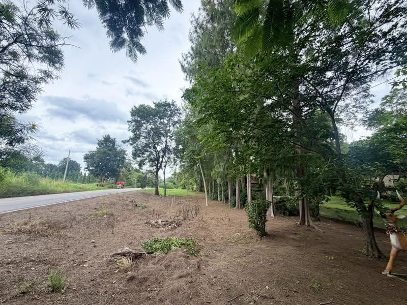 For Sale: 2-Rai Vacation Home with Unique Treehouse in Khanong Phra, Pak Chong, Nakhon Ratchasima, Khanong Phra, Pak Chong, Nakhon Ratchasima, 4 Bedrooms, 340 sqm, Single Detached House For Sale, by กฤตณัท สุกุลปรีดากร, 500488411 - DDproperty.com