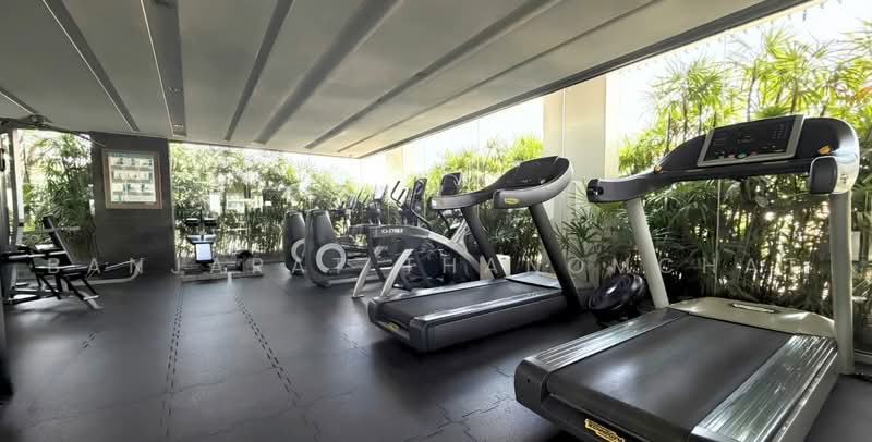 Aequa Sukhumvit 49, Bangkok, Soi Sukhumvit 49, Sukhumvit Road, Khlong Tan Nua, Watthana, Bangkok, 1 Bedroom, 60 sqm, Condo For Rent, by Banjarat Thanomchat, 500488441 - DDproperty.com