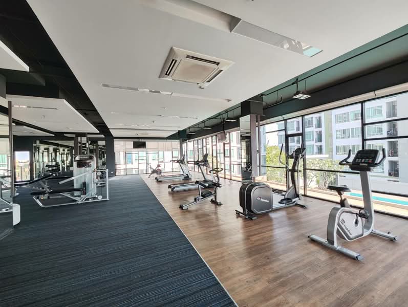 The Sky Sukhumvit, Bangkok, 103-4 Sukhumvit Road, Bang Na Nuea, Bang Na, Bangkok, 1 Bedroom, 30 sqm, Condo For Rent, by Rapeephan, 500488640 - DDproperty.com