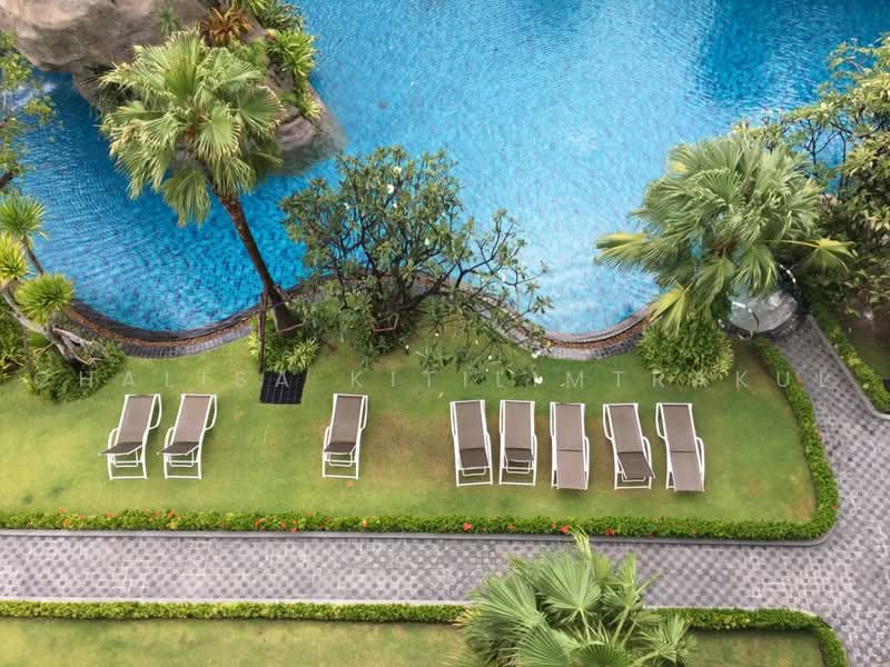 The Riviera Wongamat : เดอะ ริเวียร่า วงศ์อมาตย์, ชลบุรี, นาเกลือ 16, นาเกลือ, บางละมุง, ชลบุรี, 50 ตร.ม., คอนโด ให้เช่า, โดย Chalisa Kitilimtrakul, 500488830 - DDproperty.com