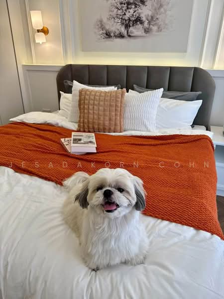 Grand Park Town, Bangkok, Prachautid, Wang Thonglang, Bangkok, 2 Bedrooms, 62 sqm, Condo For Sale, by Jesadakorn Cohn, 500488901 - DDproperty.com