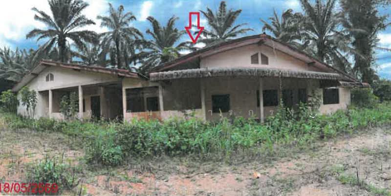 ติดถนนเพชรเกษม, Krabi, เพชรเกษม, Khlong Hin, Ao Luk, Krabi, , 1,007 sqm, Warehouse/Factory For Sale, by ฉัตรชัย  เกื้อหนุน, 500489383 - DDproperty.com