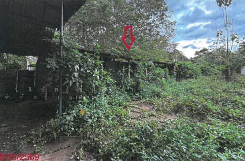 ติดถนนเพชรเกษม, Krabi, เพชรเกษม, Khlong Hin, Ao Luk, Krabi, , 1,007 sqm, Warehouse/Factory For Sale, by ฉัตรชัย  เกื้อหนุน, 500489383 - DDproperty.com