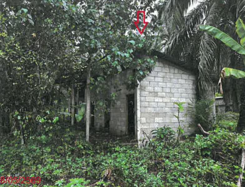 ติดถนนเพชรเกษม, Krabi, เพชรเกษม, Khlong Hin, Ao Luk, Krabi, , 1,007 sqm, Warehouse/Factory For Sale, by ฉัตรชัย  เกื้อหนุน, 500489383 - DDproperty.com