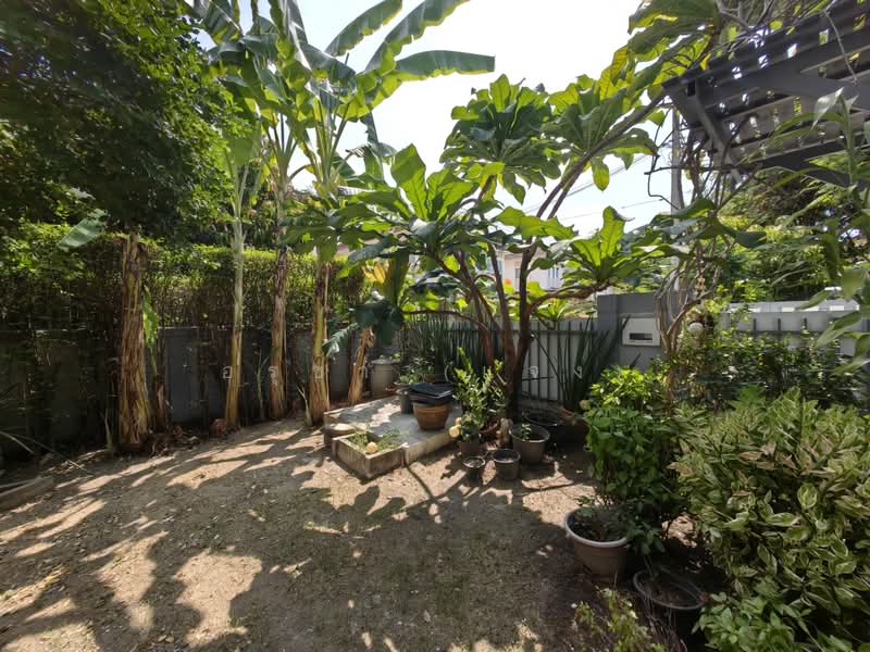 The Plant Wongwaen - Ramintra 1, bangkok, Tha Rang, Bang Khen, Bangkok, 4 Bedrooms, 200 sqm, Single Detached House For Sale, by อรุชา (แจง), 500489442 - DDproperty.com