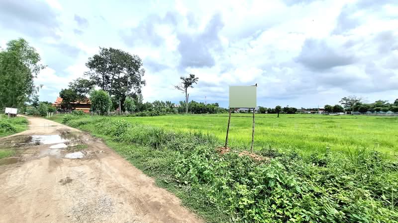 ที่ดินรอบเมือง ร้อยเอ็ด, Roi Et, Rop Muang, Muang Roi Et, Roi Et, , 13,700 sqm, Land For Sale, by The Best Property ทองใบ, 500489522 - DDproperty.com